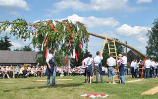 Maibaumsetzen
